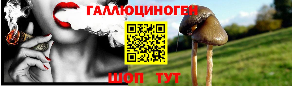 Галлюциногенные грибы MAGIC MUSHROOMS  Вход с VPN  Муром 